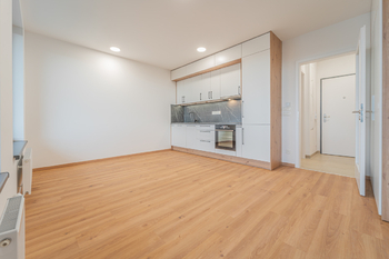 Pronájem bytu 1+kk v osobním vlastnictví 39 m², Praha 3 - Žižkov