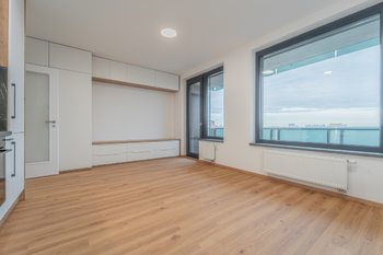 Pronájem bytu 1+kk v osobním vlastnictví 39 m², Praha 3 - Žižkov