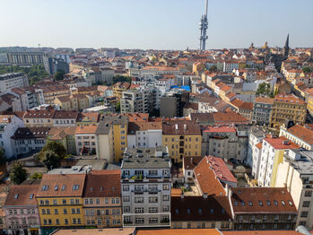 Prodej bytu 3+kk v osobním vlastnictví 124 m², Praha 3 - Žižkov