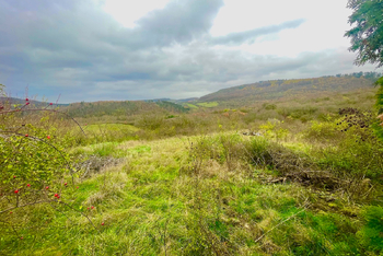 Prodej pozemku 2155 m², Králův Dvůr