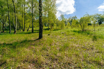 Prodej pozemku 8716 m², Střítež