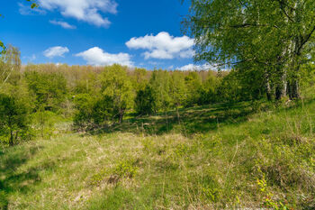 Prodej pozemku 8716 m², Střítež