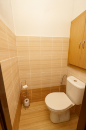 Prodej bytu 2+1 v osobním vlastnictví 61 m², Chrudim