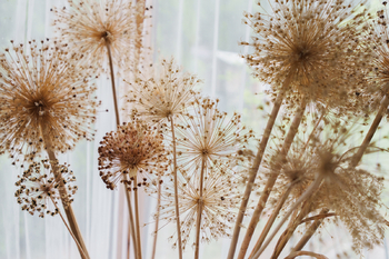 Prodej chaty / chalupy 68 m², Stříbrná Skalice