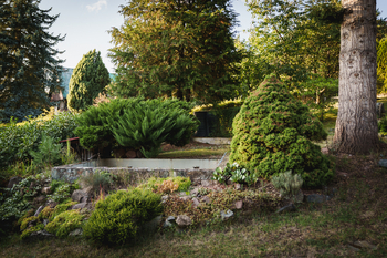 Prodej chaty / chalupy 68 m², Stříbrná Skalice