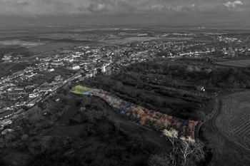 Prodej pozemku 4892 m², Blučina