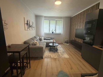 Pronájem bytu 3+kk v družstevním vlastnictví 60 m², Most