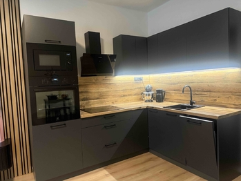 Pronájem bytu 3+kk v družstevním vlastnictví 60 m², Most