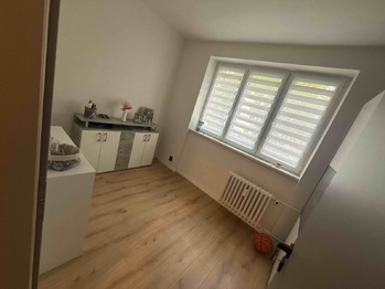 Pronájem bytu 3+kk v družstevním vlastnictví 60 m², Most