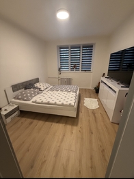 Pronájem bytu 3+kk v družstevním vlastnictví 60 m², Most