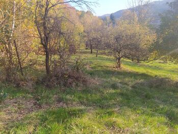 Prodej pozemku 2994 m², Vsetín