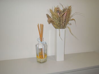 Pronájem bytu 3+1 v osobním vlastnictví 81 m², Kyjov