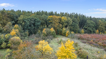 Prodej pozemku 2238 m², Těchlovice