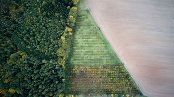 Prodej pozemku 24402 m², Těchlovice