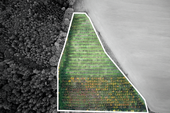 Prodej pozemku 24402 m², Těchlovice