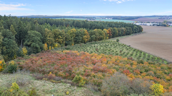 Prodej pozemku 24402 m², Těchlovice