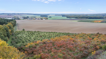 Prodej pozemku 24402 m², Těchlovice