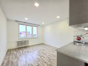 Prodej bytu 1+1 v osobním vlastnictví 35 m², Žatec