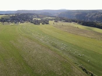 Prodej pozemku 62025 m², Labská Stráň