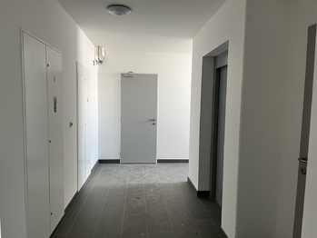 Pronájem bytu 2+kk v osobním vlastnictví 53 m², Mnichovo Hradiště