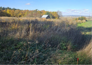 Prodej pozemku 359 m², Písek