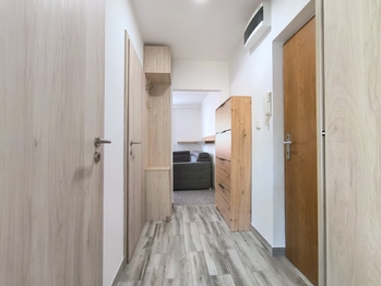 Pronájem bytu 2+kk v družstevním vlastnictví 53 m², Orlová