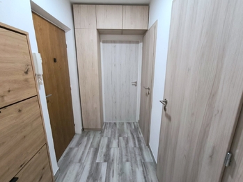 Pronájem bytu 2+kk v družstevním vlastnictví 53 m², Orlová