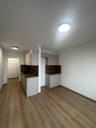 Pronájem bytu 2+kk v osobním vlastnictví 52 m², České Budějovice