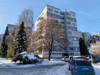 Prodej bytu 4+1 v družstevním vlastnictví 79 m², Humpolec