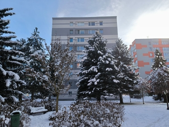 Prodej bytu 4+1 v družstevním vlastnictví 79 m², Humpolec