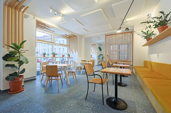 Pronájem obchodních prostor 210 m², Plzeň