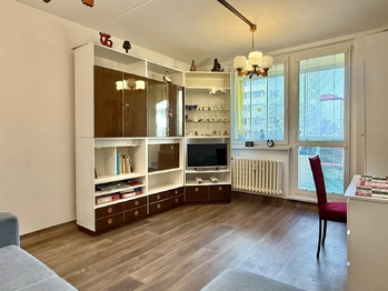 Prodej bytu 1+1 v osobním vlastnictví 48 m², Znojmo