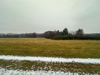 Prodej pozemku 30733 m², Radětice