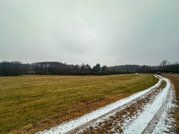 Prodej pozemku 30733 m², Radětice