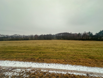 Prodej pozemku 30733 m², Radětice