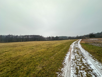 Prodej pozemku 30733 m², Radětice