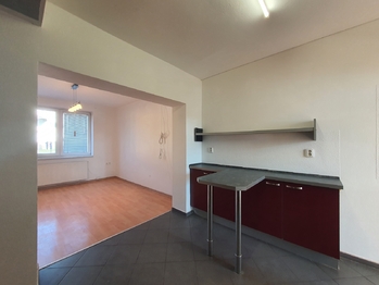 Prodej domu 257 m², Šanov