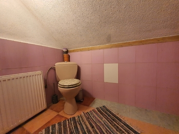 Prodej domu 257 m², Šanov