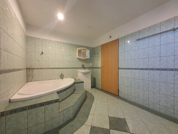 Prodej domu 257 m², Šanov