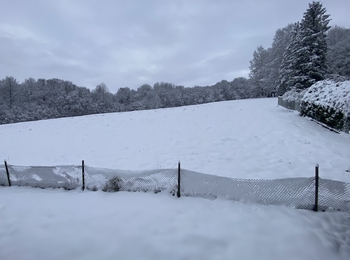 +420 776 335 999, ladislav.urbancik@re-max.cz - Prodej chaty / chalupy 34 m², Nýdek