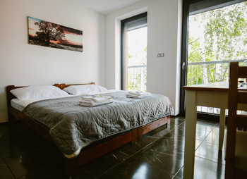 Pronájem bytu 1+kk v osobním vlastnictví 24 m², Jistebnice