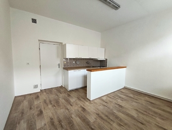 Pronájem bytu 1+1 v osobním vlastnictví 45 m², České Budějovice