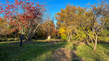 Prodej chaty / chalupy 17 m², Brno