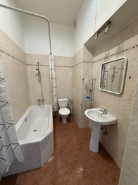 Pronájem bytu 2+kk v osobním vlastnictví 53 m², Plzeň