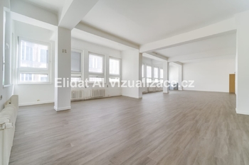 Pronájem obchodních prostor 183 m², Plzeň