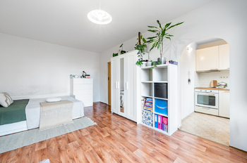 Prodej bytu 1+kk v osobním vlastnictví 31 m², Praha 8 - Troja