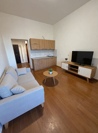 Pronájem bytu 1+kk v osobním vlastnictví 21 m², Plzeň