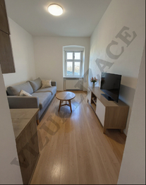 Pronájem bytu 1+kk v osobním vlastnictví 21 m², Plzeň