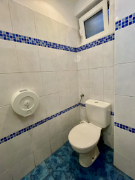 Pronájem obchodních prostor 120 m², Sázava