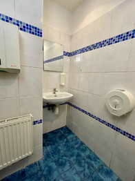 Pronájem obchodních prostor 120 m², Sázava